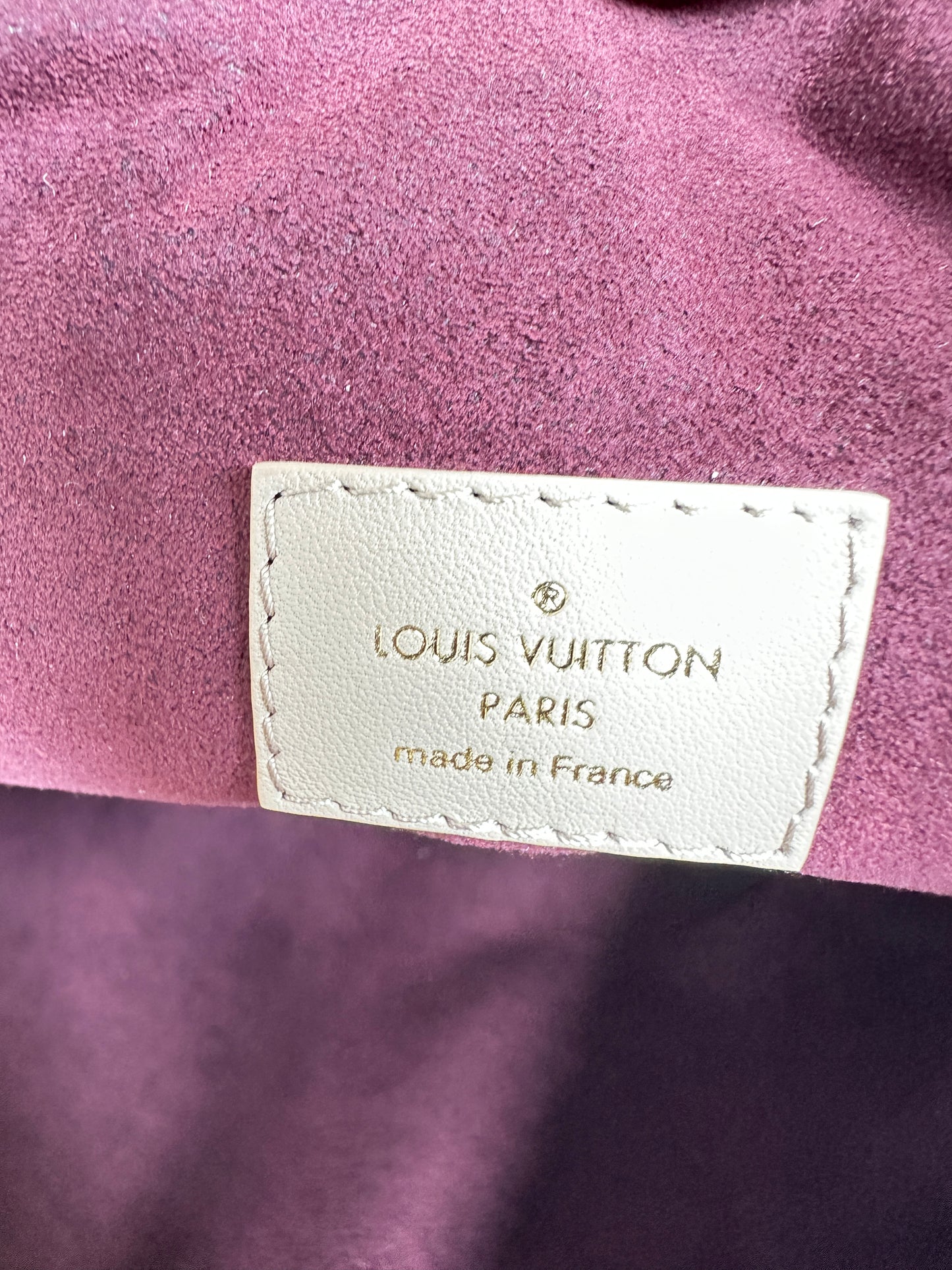 Louis Vuitton Coussin Hobo Monogram Embossed Lambskin MM Tan 58291
