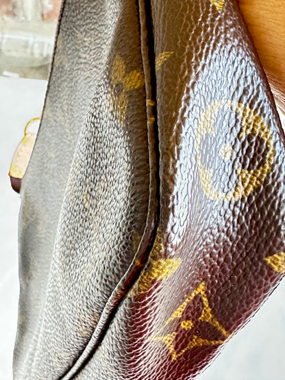 Louis Vuitton Pochette Accessoires Monogram 10125