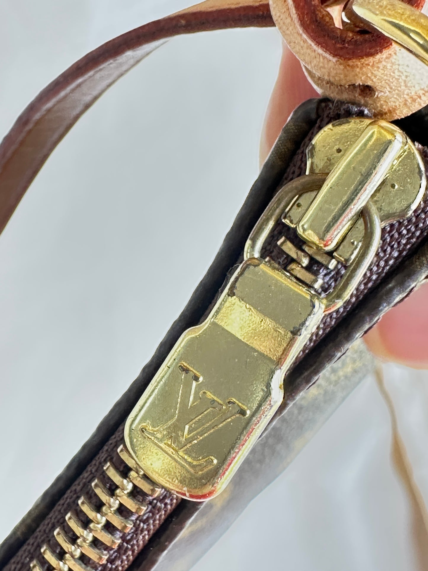 Louis Vuitton Pochette Accessoires Monogram 10125