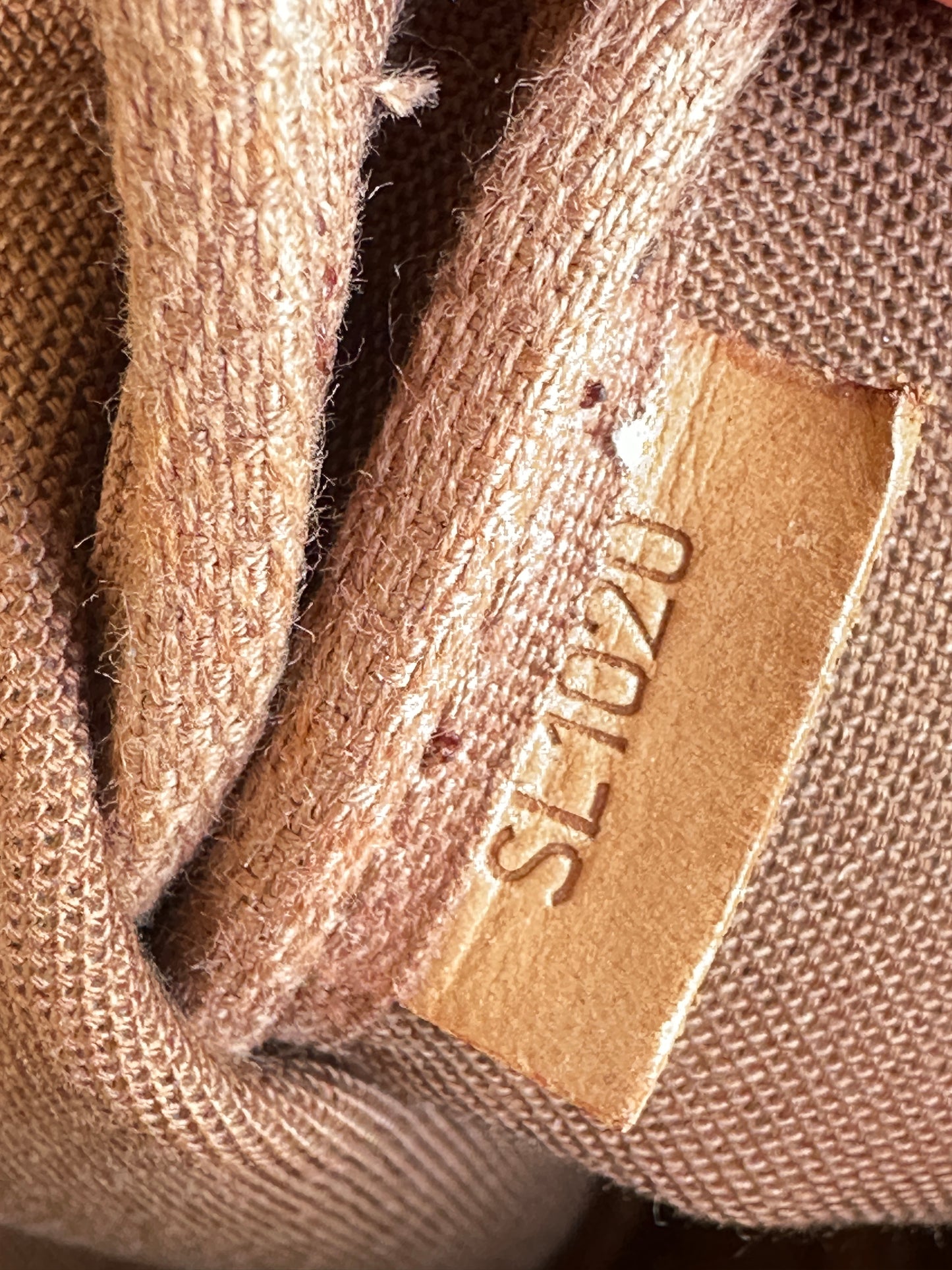 Louis Vuitton Pochette Accessoires Monogram 10209