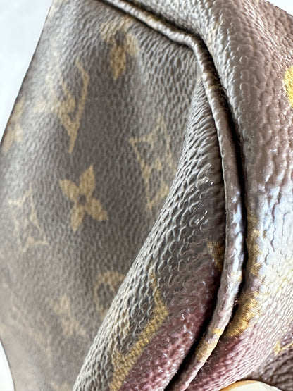 Louis Vuitton Pochette Accessoires Monogram 10209