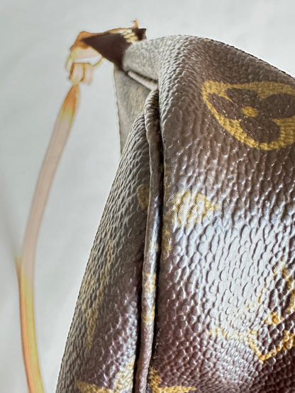 Louis Vuitton Pochette Accessoires Monogram 10209