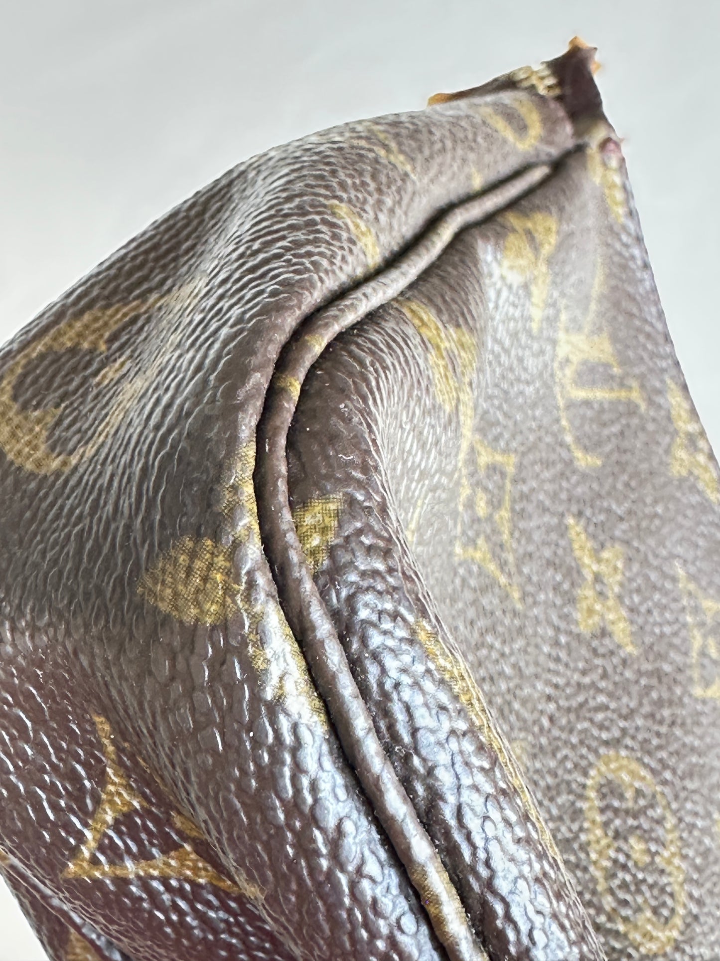 Louis Vuitton Pochette Accessoires Monogram 10209
