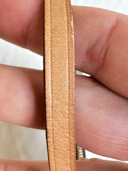 Louis Vuitton Pochette Accessoires Monogram 10209